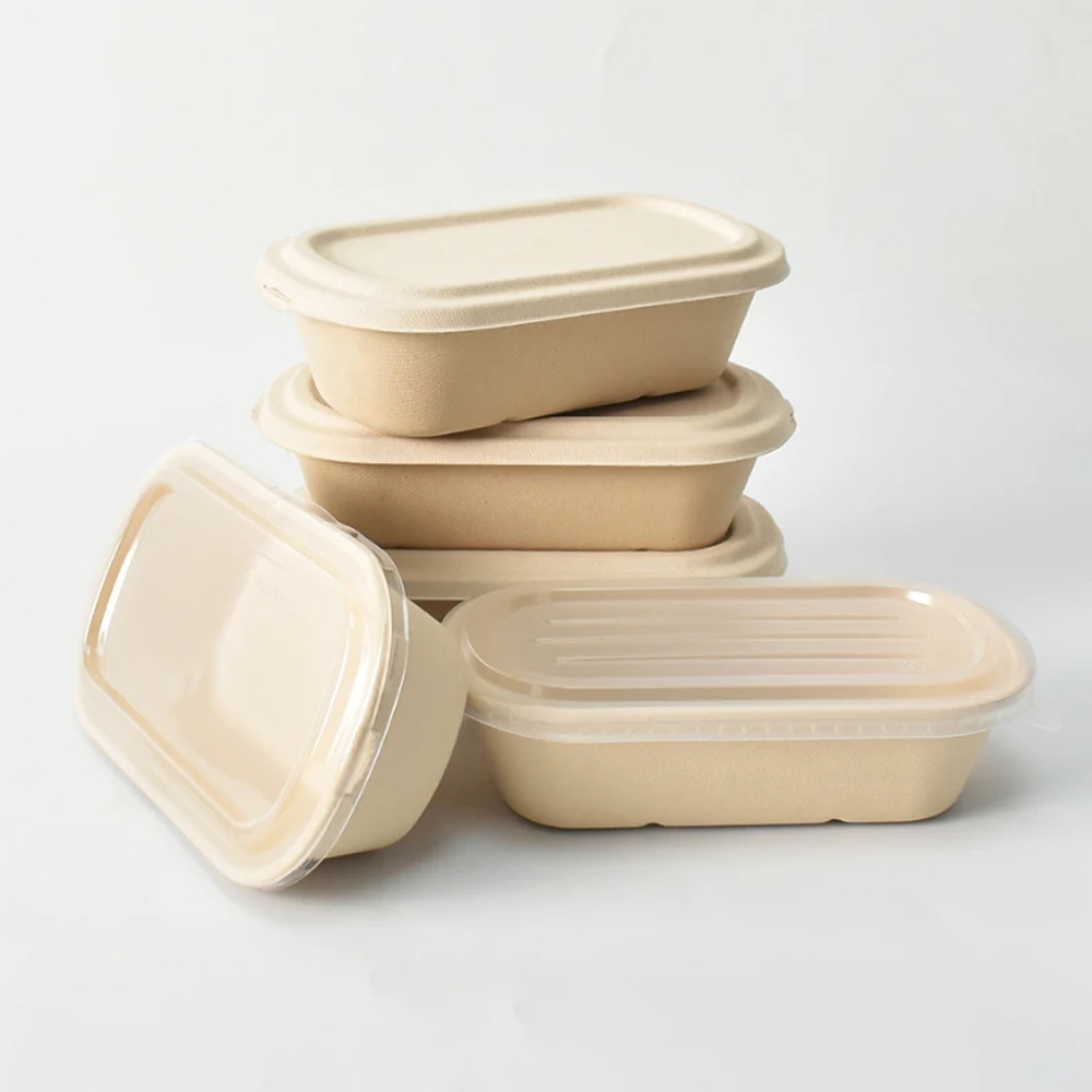 Bagasse-Style Food Containers with Separate Lids