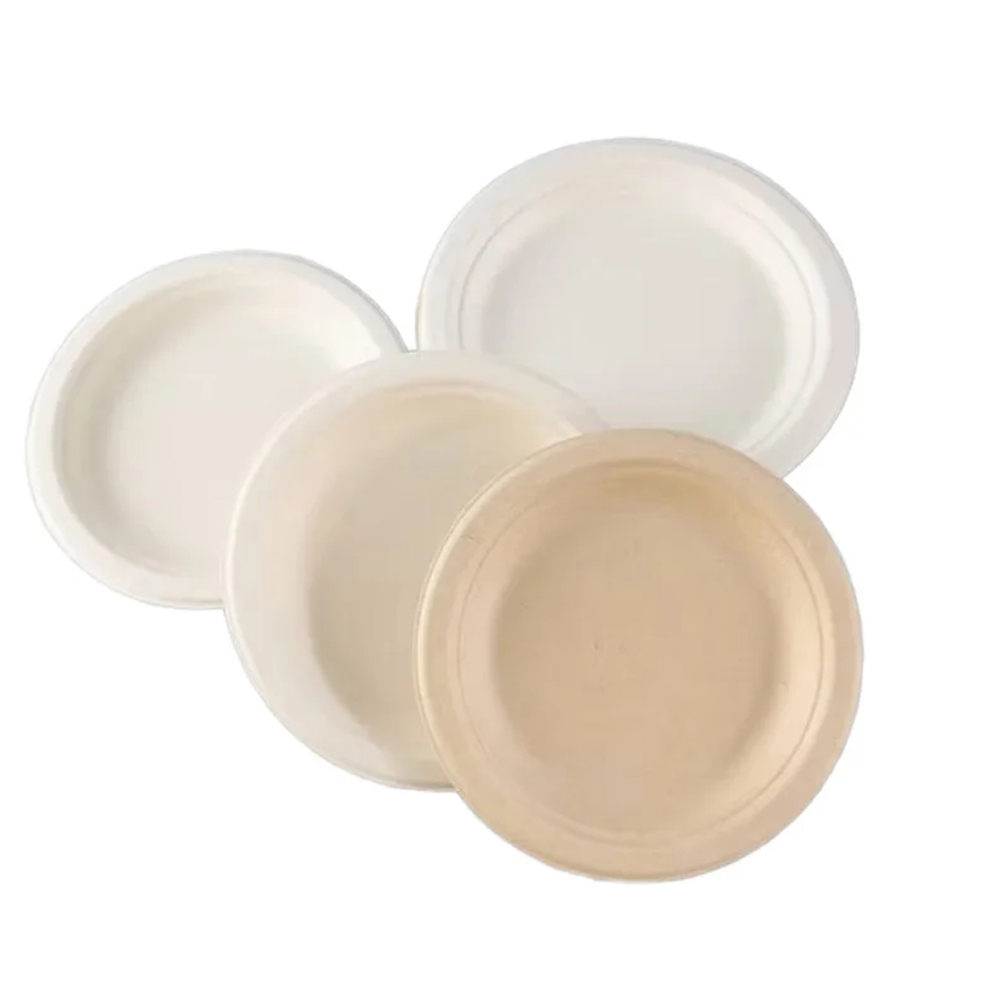 Bagasse-Style Round and Compartment Plates for Catering