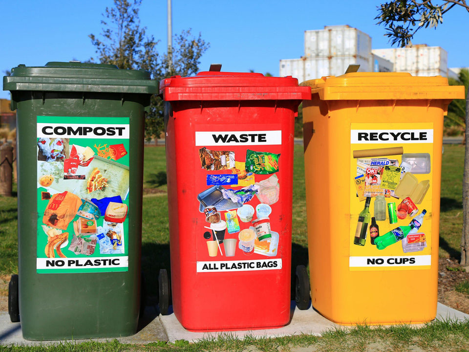 Bagasse Tableware Disposal Guide Compost, Recycle or Landfill