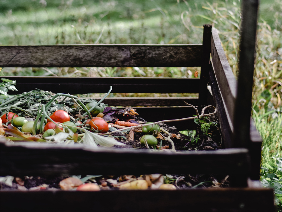 Bagasse Tableware Disposal Guide Compost, Recycle or Landfill