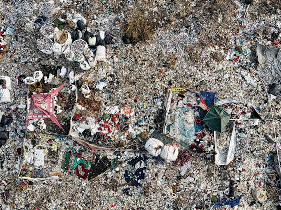 Bagasse Tableware Disposal Guide Compost, Recycle or Landfill