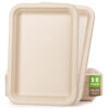 Bagasse Tray 14x10 Inch for Catering Service