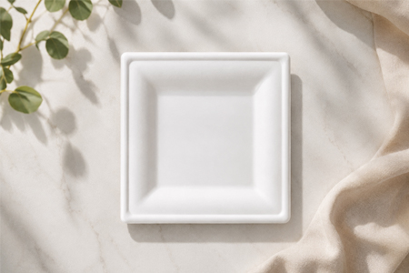 Bagasse disposable plates for wholesale food packaging supply