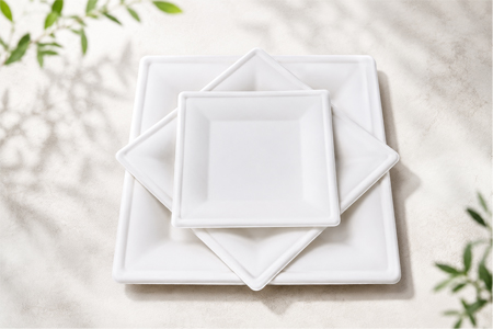 Bagasse disposable plates for wholesale food packaging supply