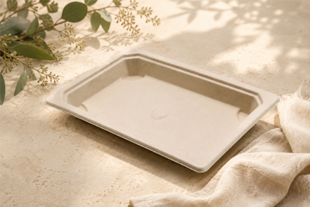 Bagasse tray for OEM food packaging supply