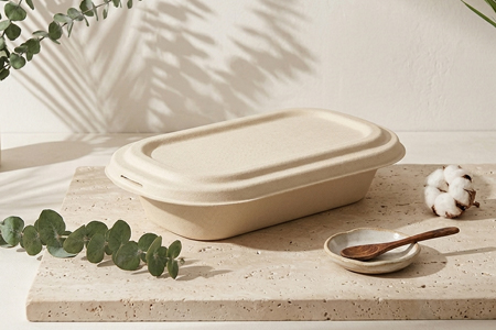 Biodegradable bagasse food container for hot and cold food packaging