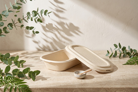 Biodegradable bagasse food container for hot and cold food packaging