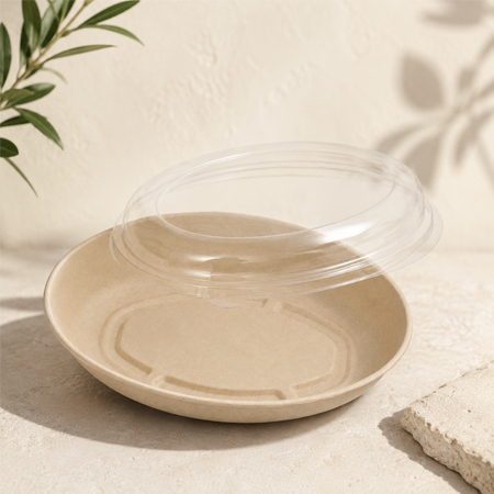 Biodegradable sugarcane bagasse bowl for eco-friendly disposable tableware programs