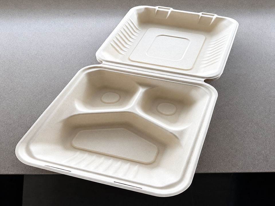 Chemical Migration in Bagasse Food Packaging Buyer Safety Guide