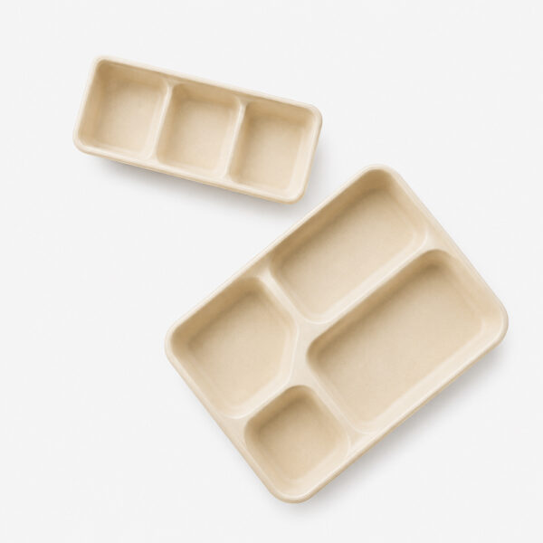 Compartment Bagasse-Style Tray with Lid for Meals