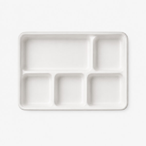 Compartment Bagasse-Style Tray with Lid for Meals