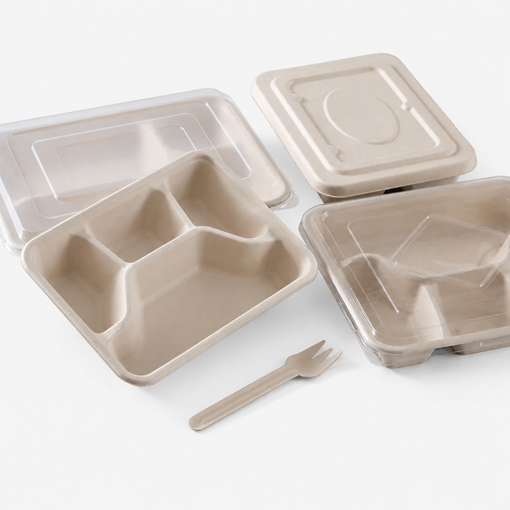 Compartment Bagasse-Style Tray with Lid for Meals