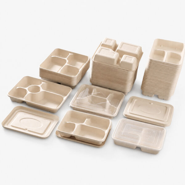 Compartment Bagasse-Style Tray with Lid for Meals