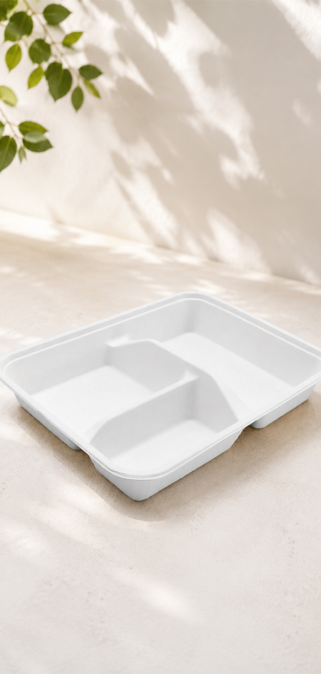 Compostable food tray made from sugarcane bagasse