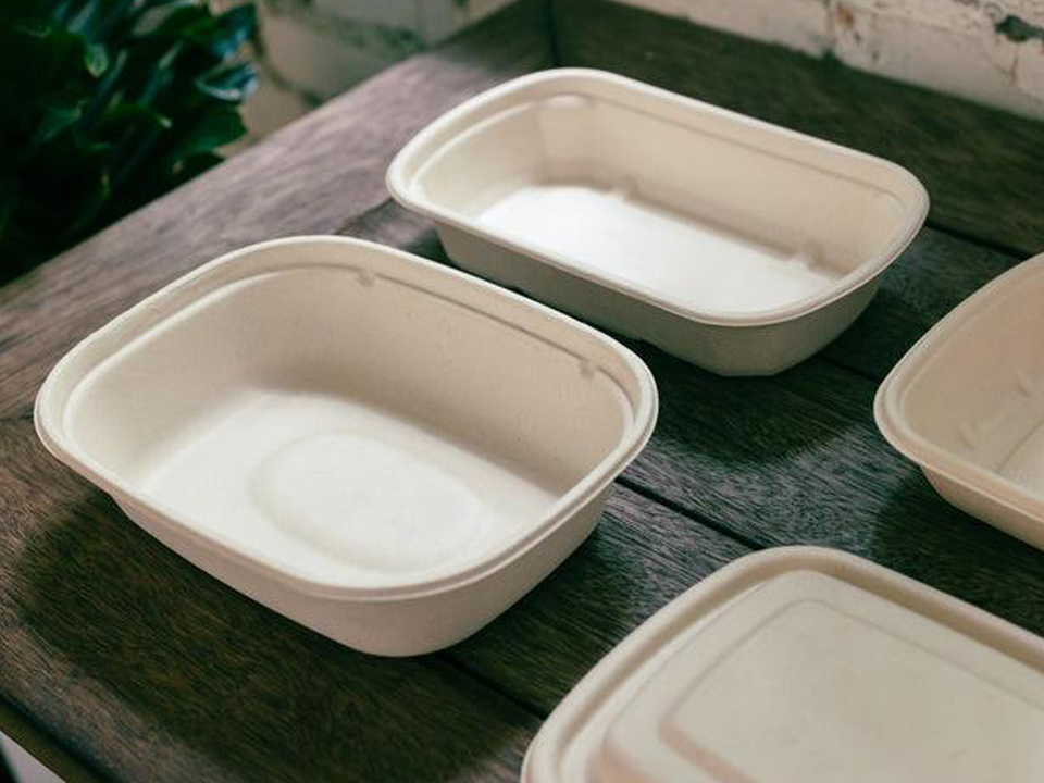 Custom Bagasse Tableware Logo, Mold, Color and Size Options