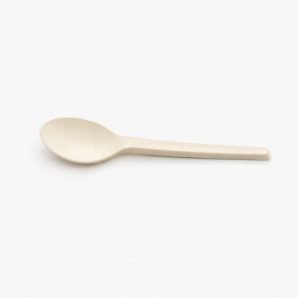 Disposable Spoon with White Plastic-Style Finish