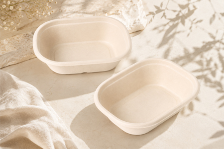 Disposable bagasse food containers for takeaway, delivery, and food storage