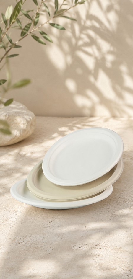 Disposable sugarcane plates for takeout, catering, and supermarket packaging