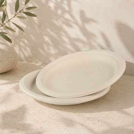 Disposable sugarcane plates for takeout, catering, and supermarket packaging