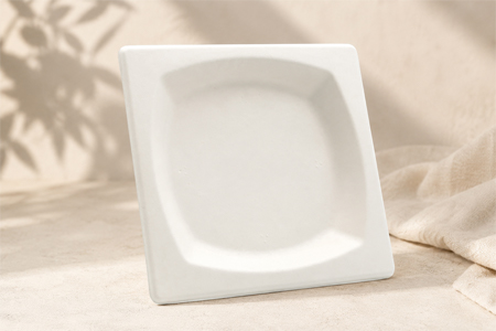 Eco-friendly bagasse plates for restaurant and event foodservice
