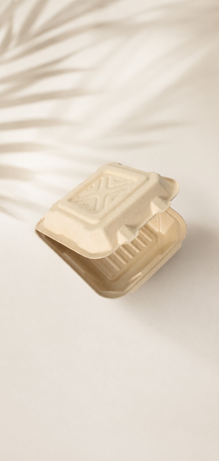 Eco friendly sugarcane clamshell box for wholesale foodservice supply