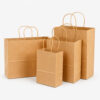 Kraft Paper Bags with Handles for Takeaway Retail Supply