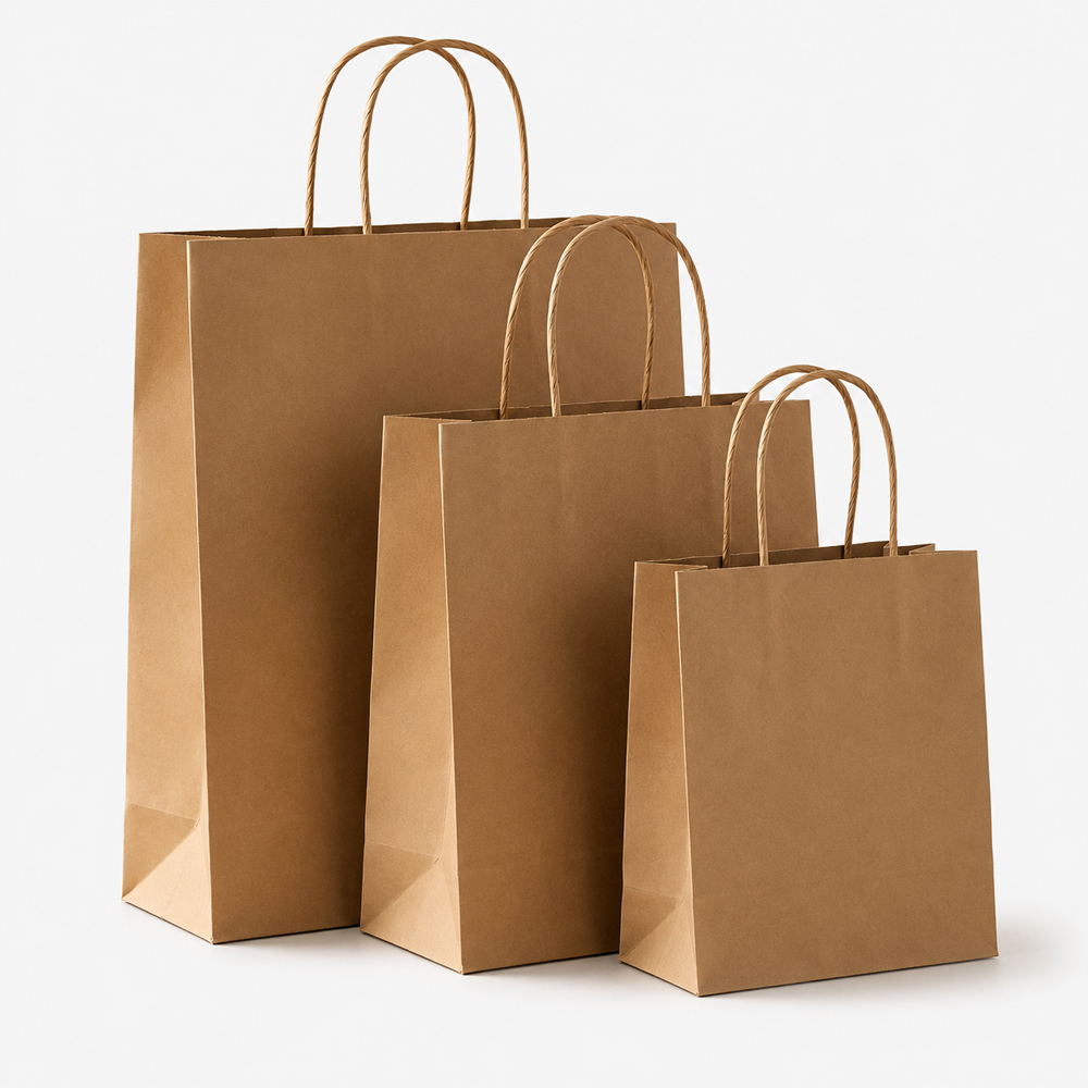 Kraft Paper Bags with Twisted Handles for Takeaway