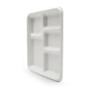 Molded Fiber 5-Compartment Food Tray Molded Fiber 5-Compartment Food Tray