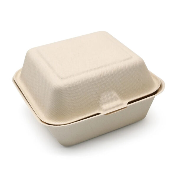 Molded Fiber Clamshell Takeout Box for Meal Packaging