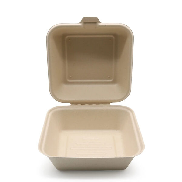 Molded Fiber Clamshell Takeout Box for Meal Packaging