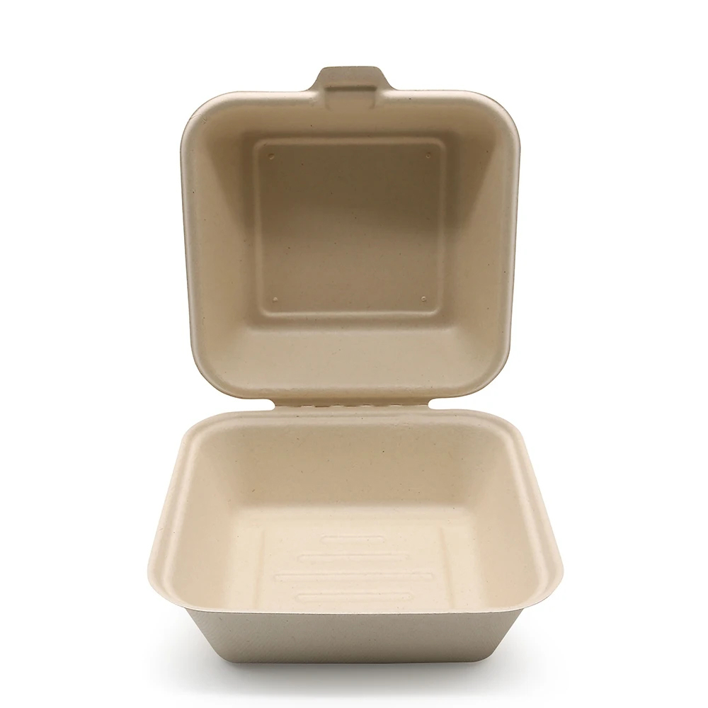 Molded Fiber Clamshell Takeout Box for Meal Packaging
