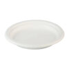 Oval Bagasse-Style Molded Fiber Plate
