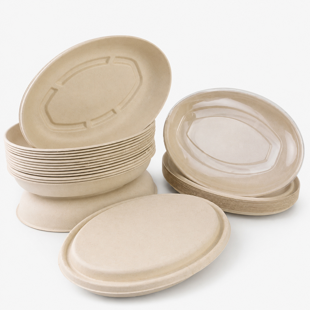 Oval Bagasse-Style Plate with Clear Fitted Lid