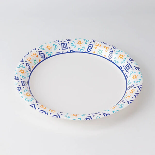 Printed Paper Plate for Catering Foodservice Use