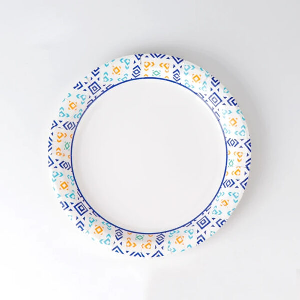 Printed Paper Plate for Catering Foodservice Use