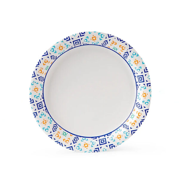 Printed Paper Plate for Catering Foodservice Use