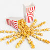 Printed Paper Popcorn Buckets for Concessions