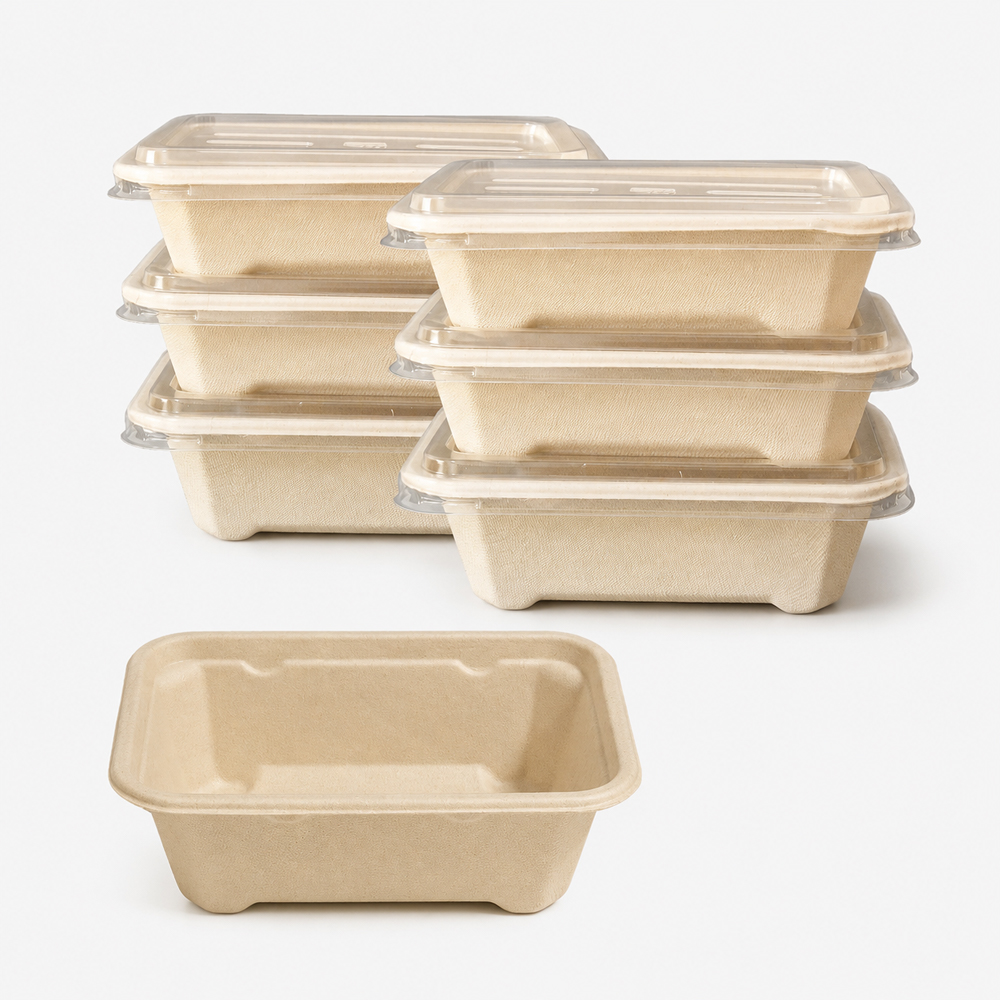 Rectangular Bagasse Food Container with Clear PET Lid