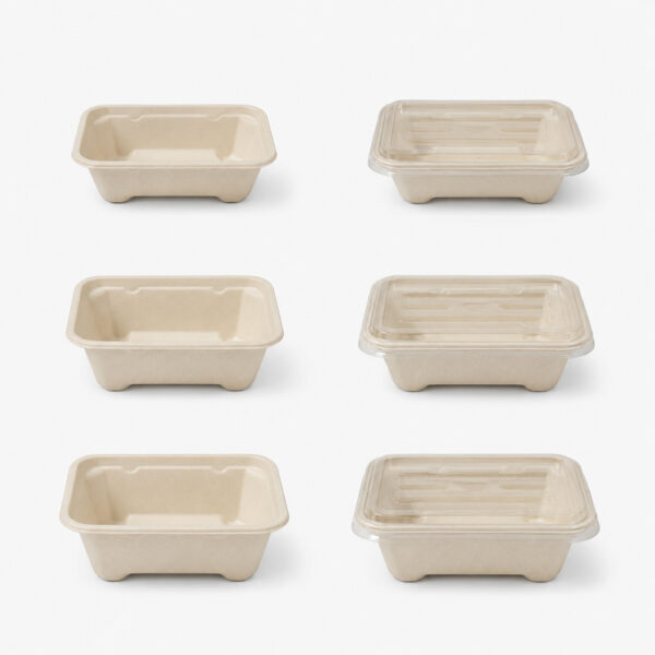 Rectangular Bagasse Food Container with Clear PET Lid Rectangular Bagasse Food Container with Clear PET Lid