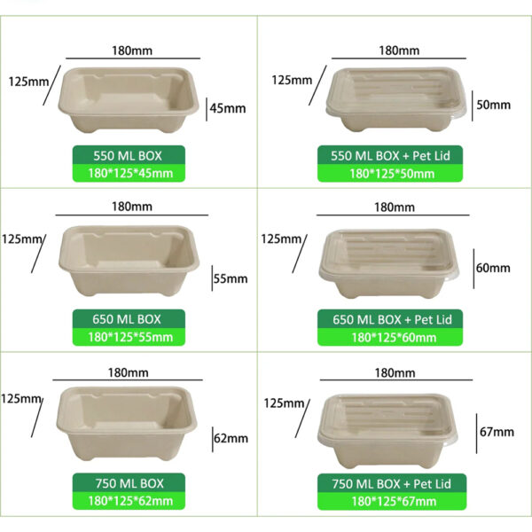 Rectangular Bagasse Food Container with Clear PET Lid Rectangular Bagasse Food Container with Clear PET Lid
