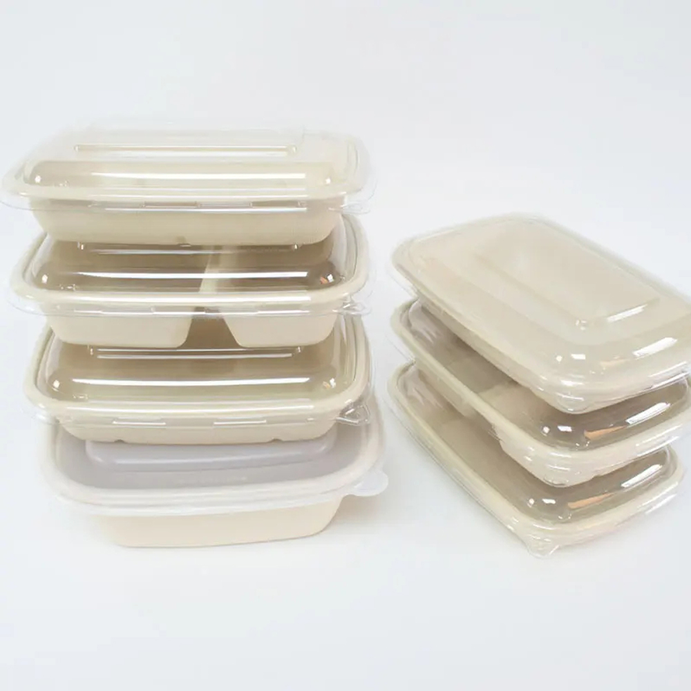 Rectangular Bagasse-Style Food Container with Lid