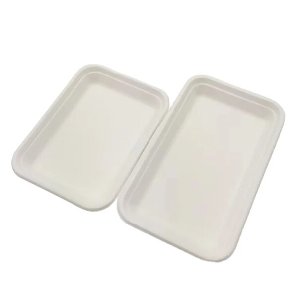 Rectangular Bagasse-Style Food Tray for Foodservice