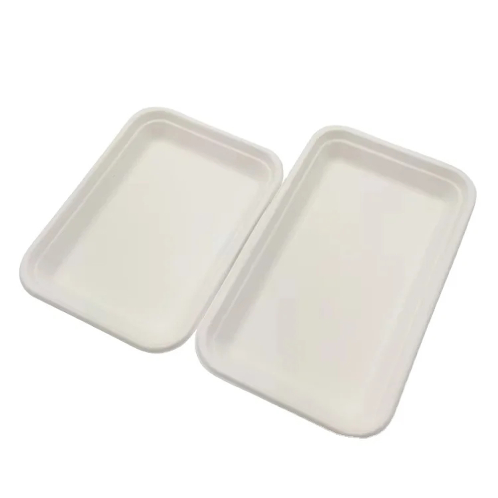 Rectangular Bagasse-Style Food Tray for Foodservice