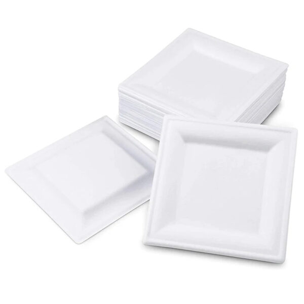 Rectangular Bagasse-Style Molded Fiber Plate Rectangular Bagasse-Style Molded Fiber Plate