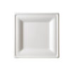 Rectangular Bagasse-Style Molded Fiber Plate Rectangular Bagasse-Style Molded Fiber Plate