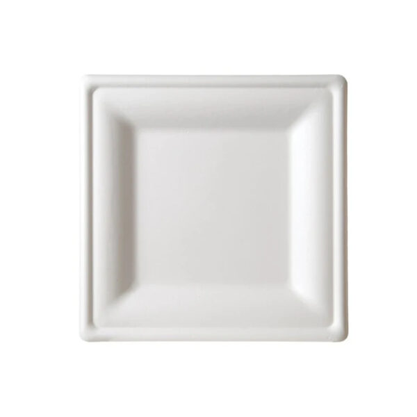 Rectangular Bagasse-Style Molded Fiber Plate Rectangular Bagasse-Style Molded Fiber Plate