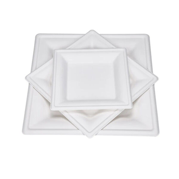 Rectangular Bagasse-Style Molded Fiber Plate Rectangular Bagasse-Style Molded Fiber Plate