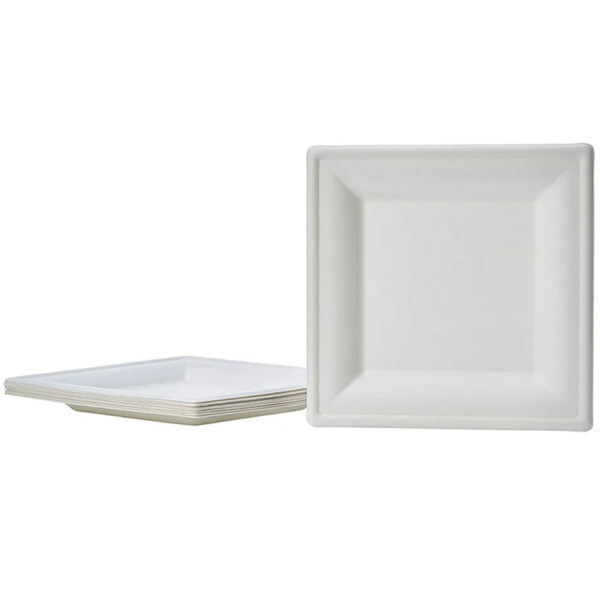 Rectangular Bagasse-Style Molded Fiber Plate Rectangular Bagasse-Style Molded Fiber Plate