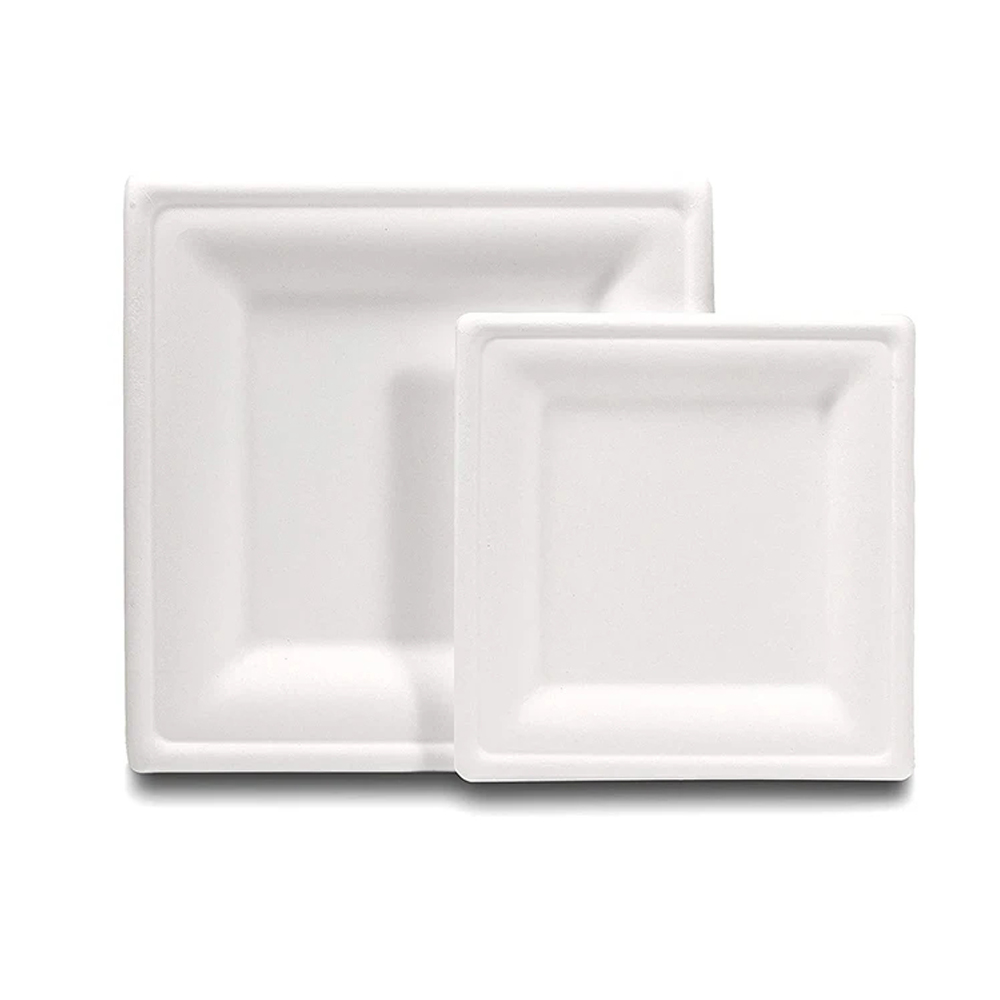 Rectangular Bagasse-Style Molded Fiber Plate