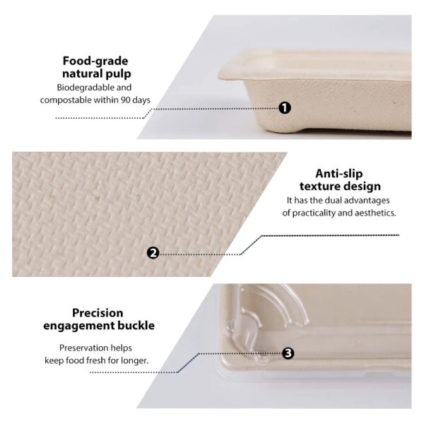 Rectangular Bagasse Tray with Clear Lid for Sushi